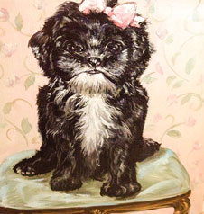 Pet Portrait Robin Golden