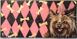 Yorkie